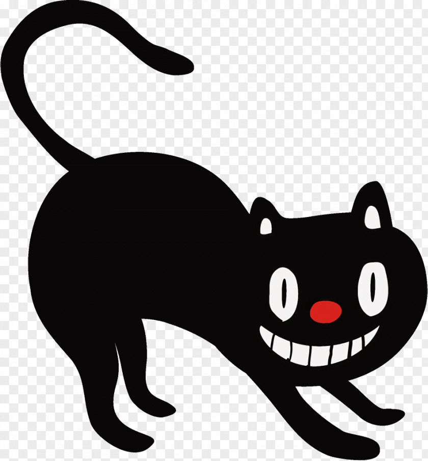 Nose Whiskers Black Cat Halloween PNG