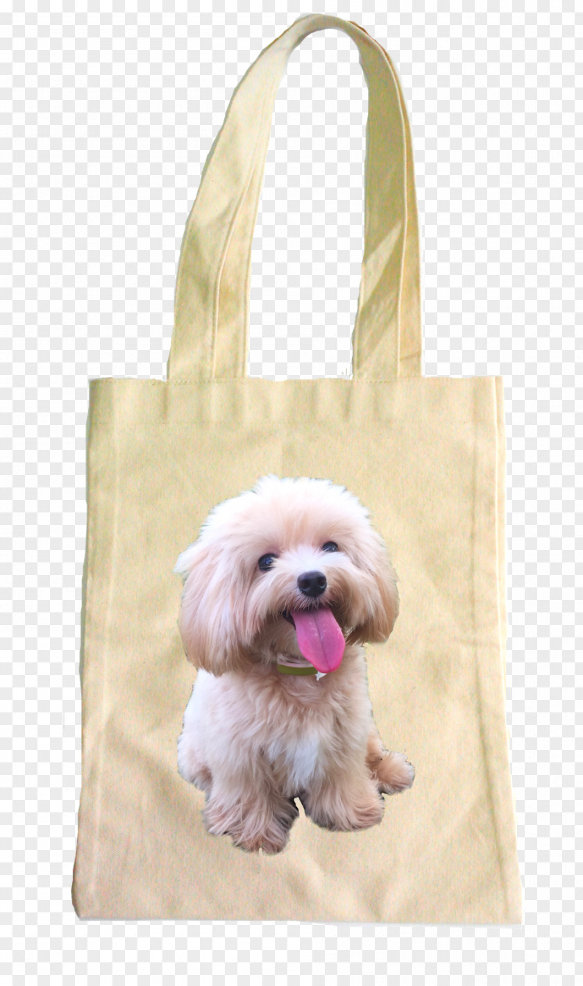Puppy Dog Breed Havanese Companion Tote Bag PNG