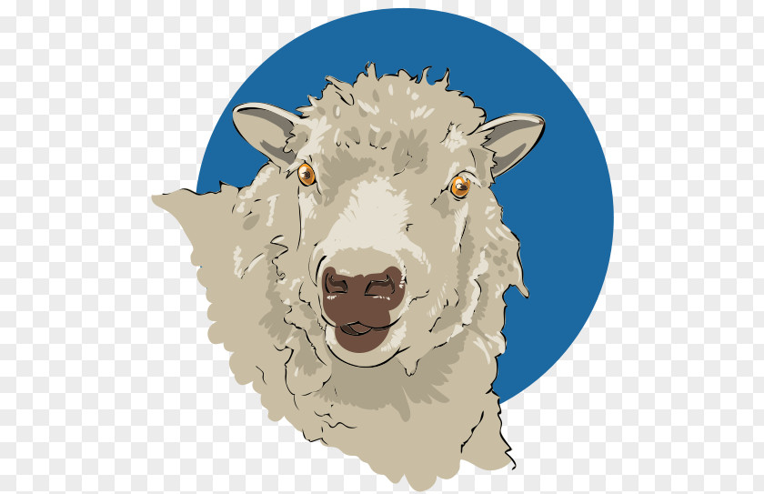 Sheep Goat Photography Drawing Merino Clip Art PNG
