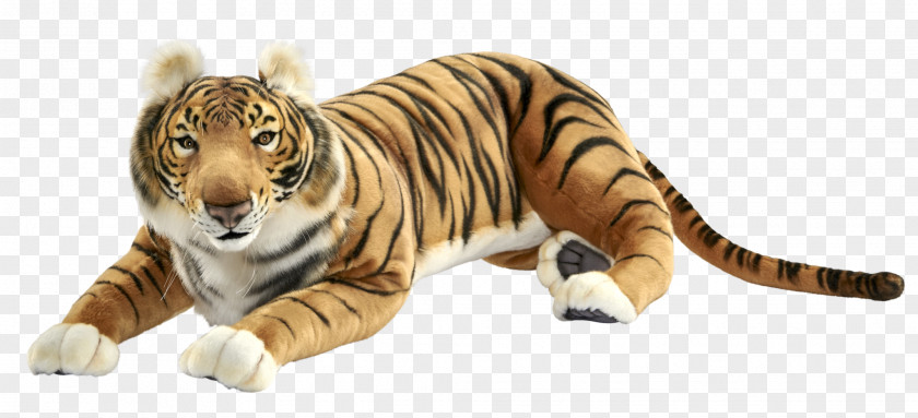Tiger Stuffed Animals & Cuddly Toys Plush Blizzard Husky 8 By Douglas Cuddle PNG