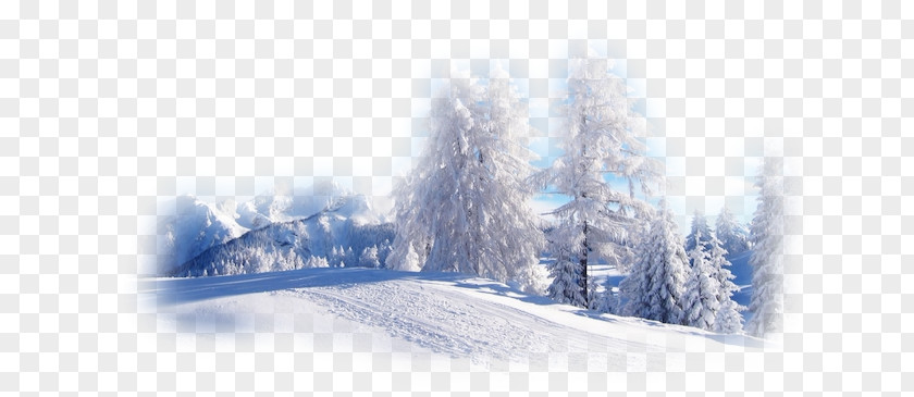 Winter Desktop Wallpaper Nature Snow Landscape PNG