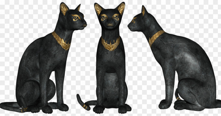 Anubis Black Cat Bombay Ancient Egypt Egyptian Pyramids Mau PNG