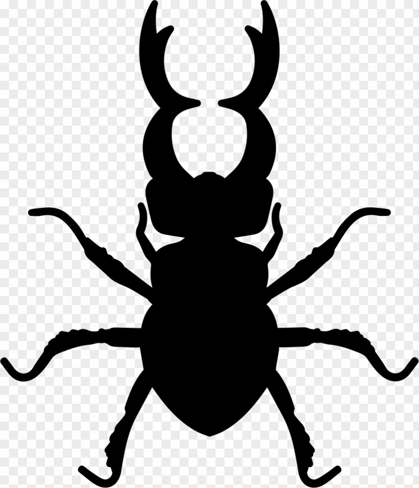 Beetle Stag Clip Art Hercules PNG