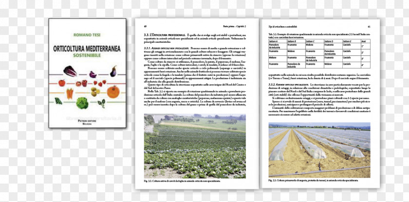 Cremonese Orticoltura Mediterranea Sostenibile Brochure Romano Tesi PNG