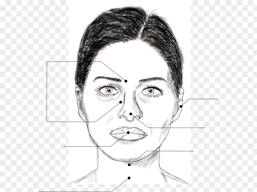 Eye Cheek Sketch Chin Mouth PNG