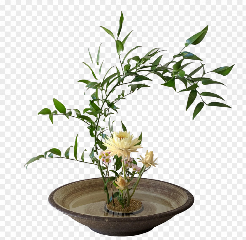 Floral Design PNG