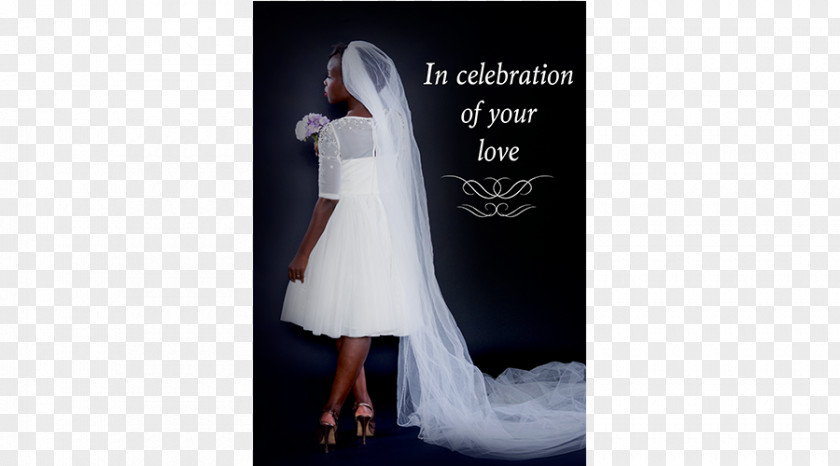 In Color Amazon.com PEDEMERGE Wedding Dress Cocktail Blu-ray Disc PNG