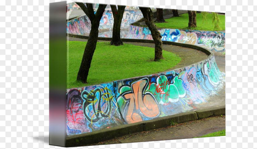 Skateboard Park Graffiti PNG