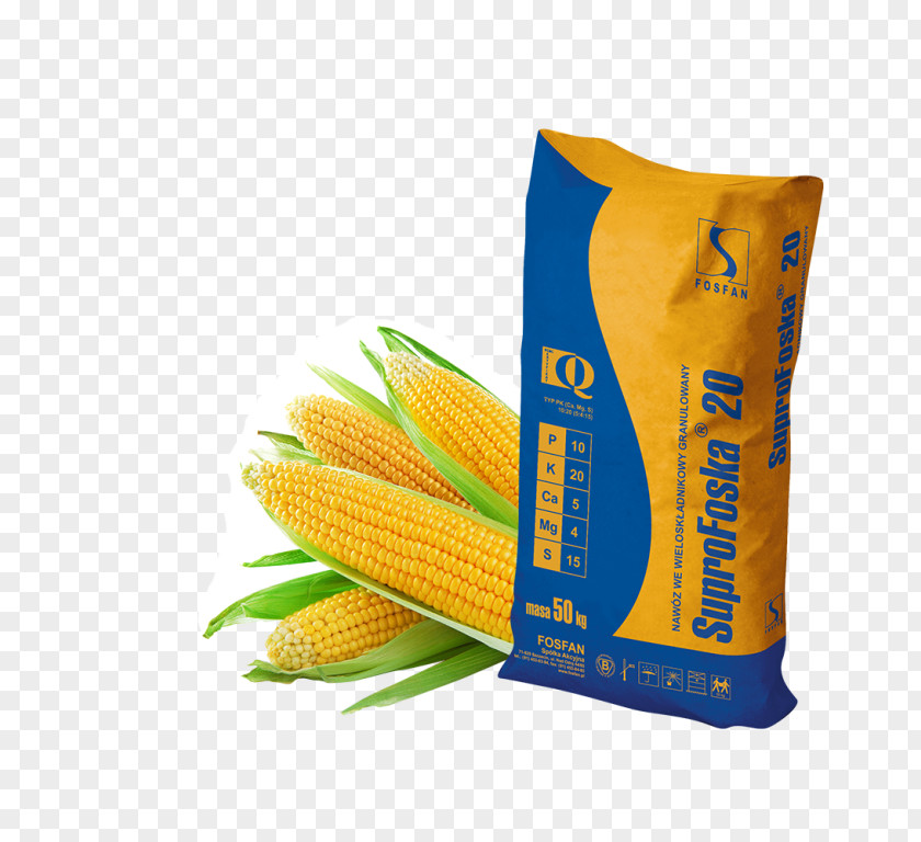 Sugar Sweet Corn Fertilisers Beet Maize PNG