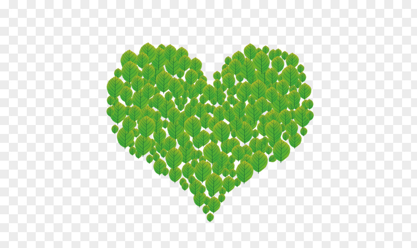 Green Heart Download PNG