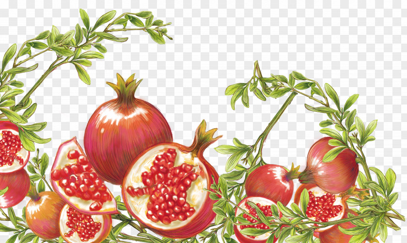 Pomegranate Tomato Food PNG