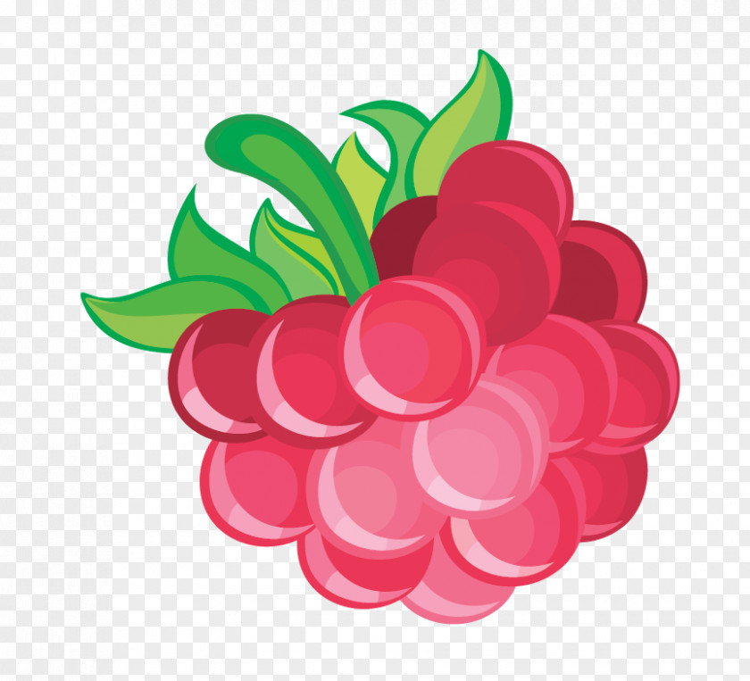 Raspberry Frutti Di Bosco Red PNG