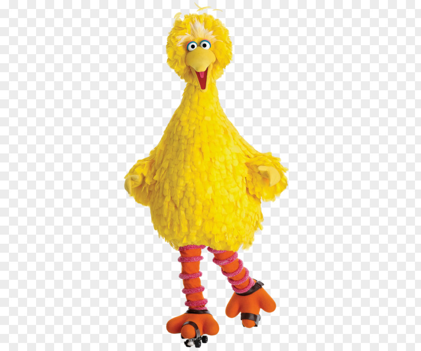 Big Bird Sesame Street Abby Cadabby Oscar The Grouch Ernie Elmo PNG