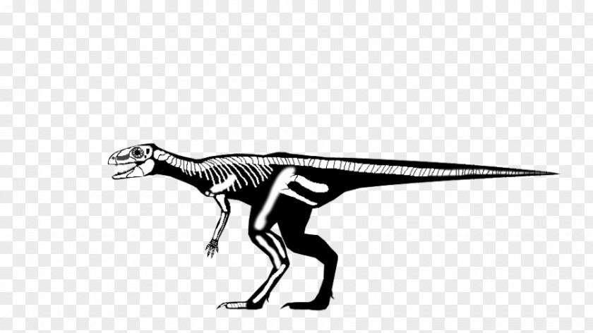 Dinasor Tyrannosaurus Velociraptor Angle Animated Cartoon PNG