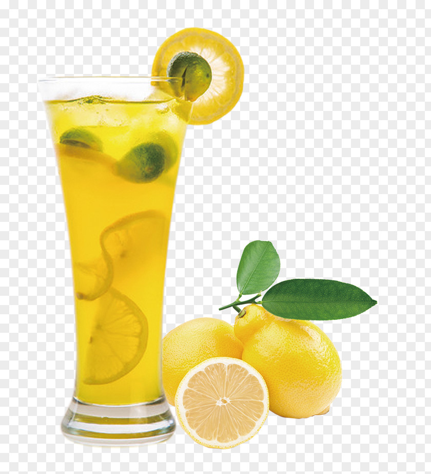 Lemon Juice Balm Extract Fruit PNG