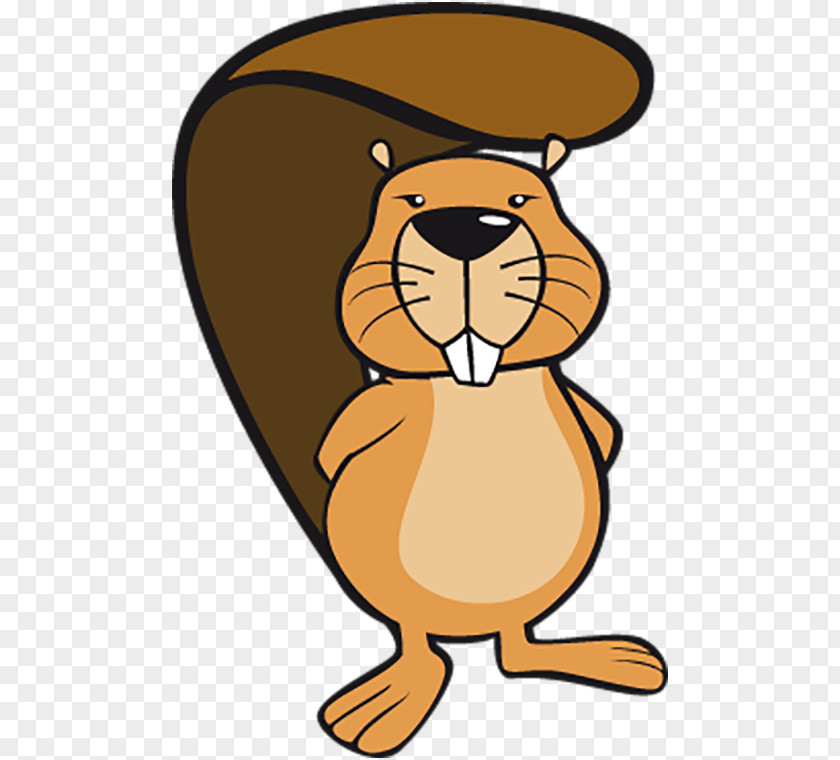 Long Tailed Beaver Canada North American Centre For Education In Mathematics And Computing Clip Art PNG