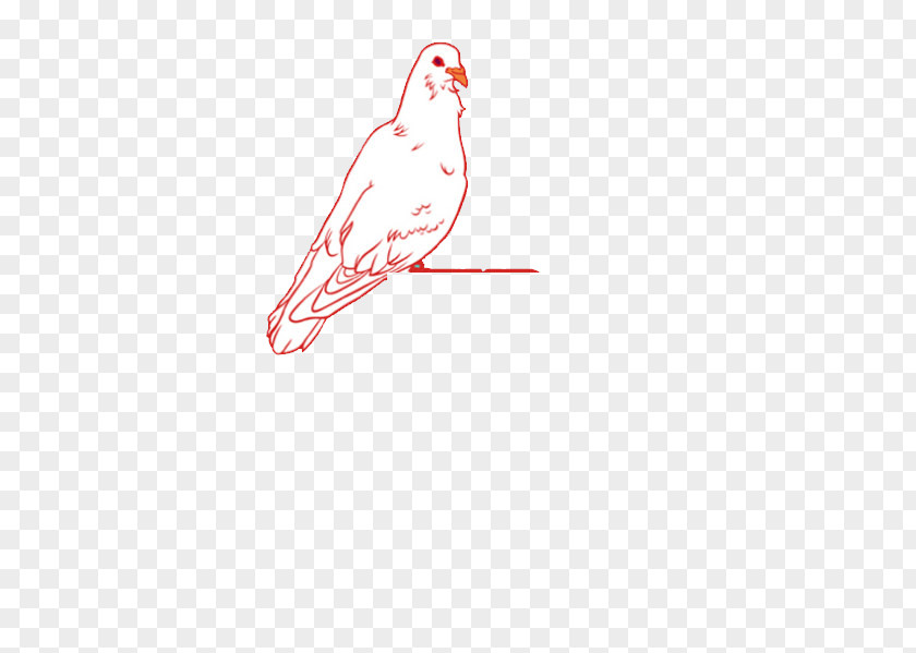 Pigeon Google Images Illustration PNG