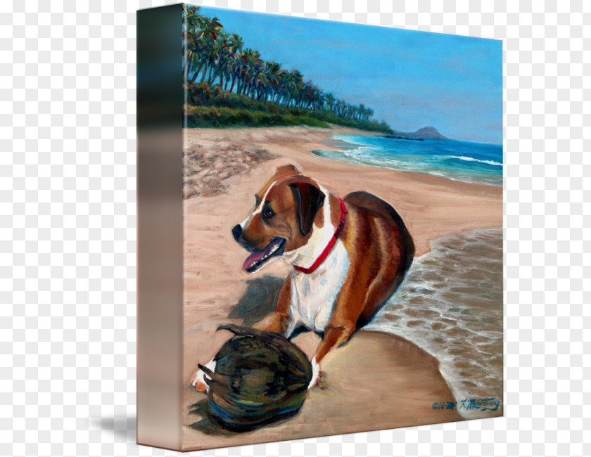 Beach Bum Dog Breed Painting Snout Vacation PNG