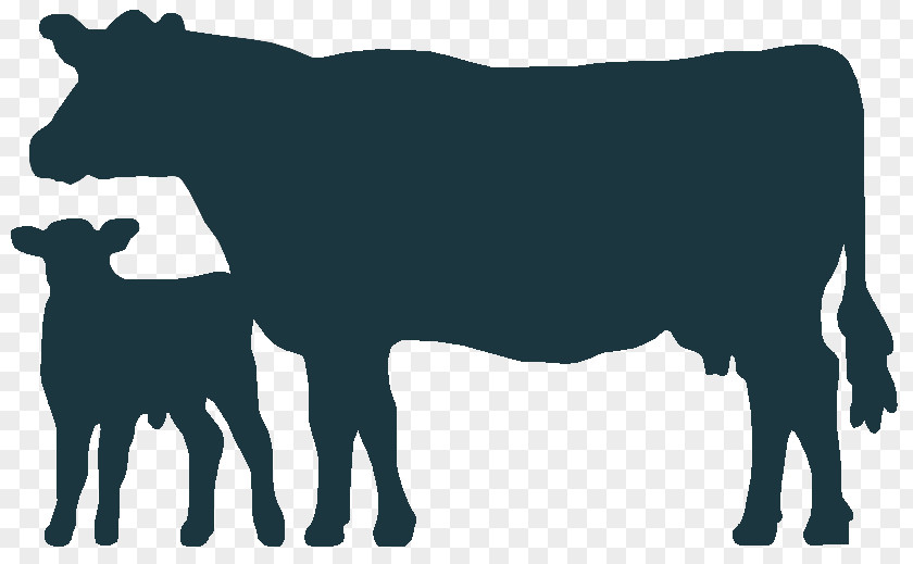 Calf Map Angus Cattle Welsh Black Holstein Friesian Clip Art PNG