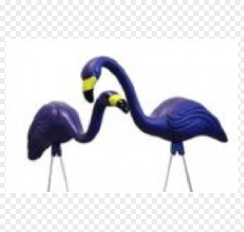 Flamingo Baltimore Orioles Bird Ravens Lawn Ornaments & Garden Sculptures PNG