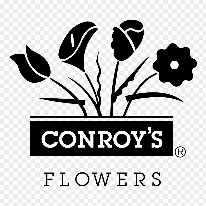 Flower Conroy's Flowers Floristry Floral Design Delivery PNG