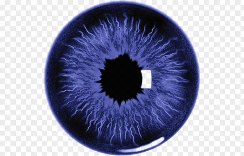 J Eye Lens Iris PNG