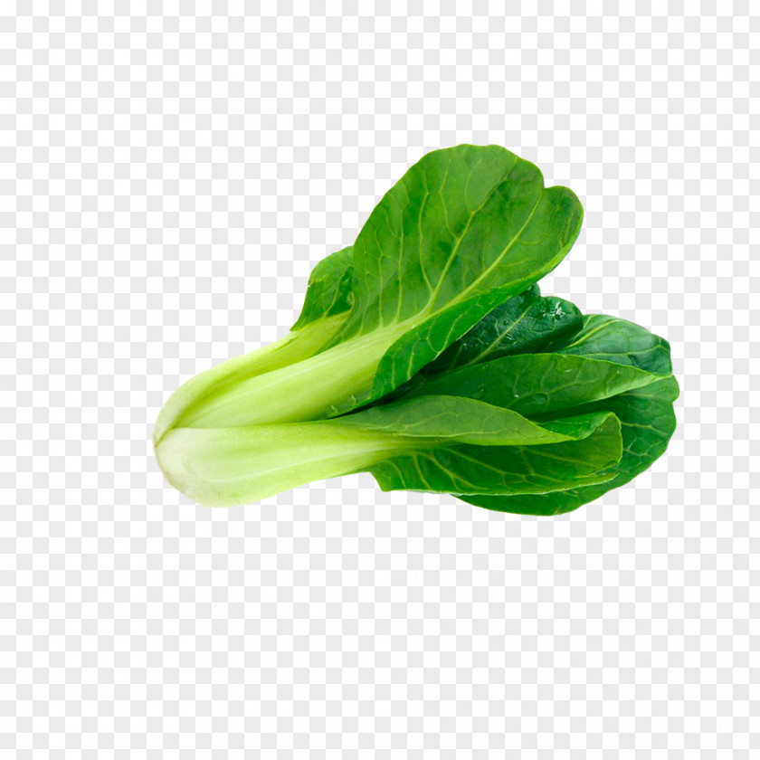 One Green Vegetables Choy Sum Pixel Icon PNG