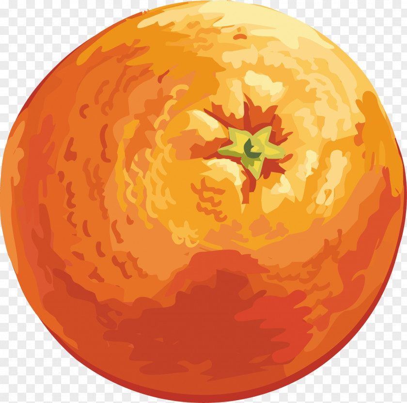 Orange Mandarin Drawing Clip Art PNG