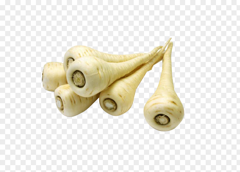 Vegetable Parsnip Root Vegetables Fruit PNG