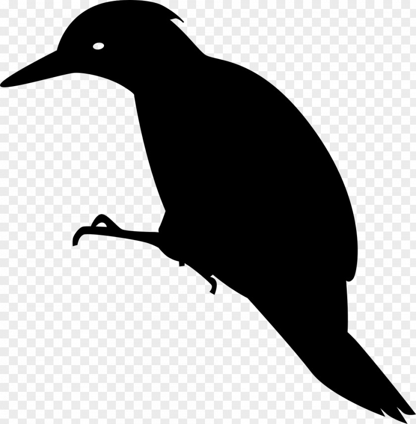 Animal Silhouettes Woodpecker Bird Clip Art PNG