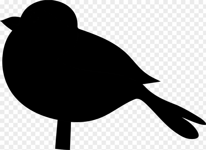 Clip Art Common Blackbird Illustration Free Content Image PNG