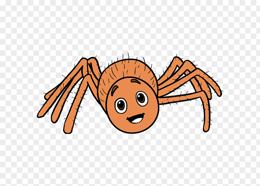 Drawing Spider Cartoon Clip Art PNG