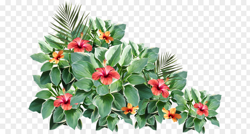 Flower Floral Design 2403 (عدد) 2404 PNG