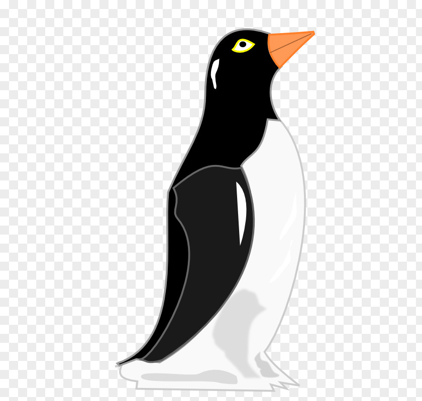 Penguins Penguin Bird Clip Art PNG