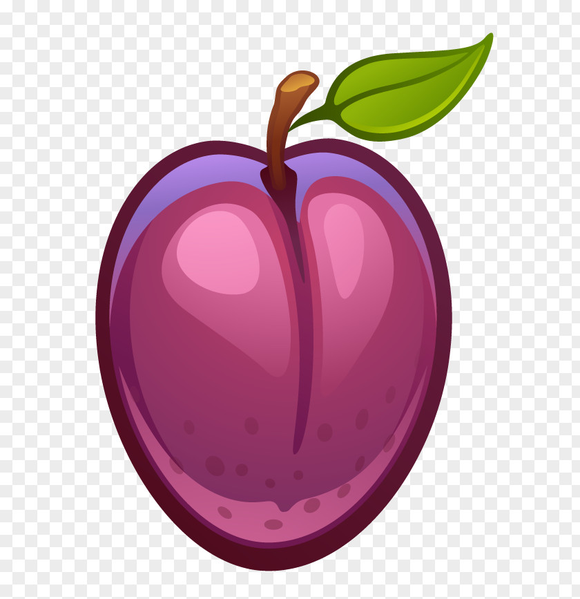 Plum Fruit Drawing Clip Art PNG