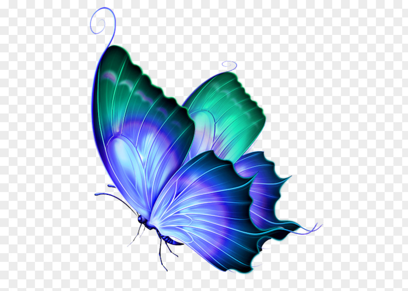 Watercolor Butterfly Clip Art PNG