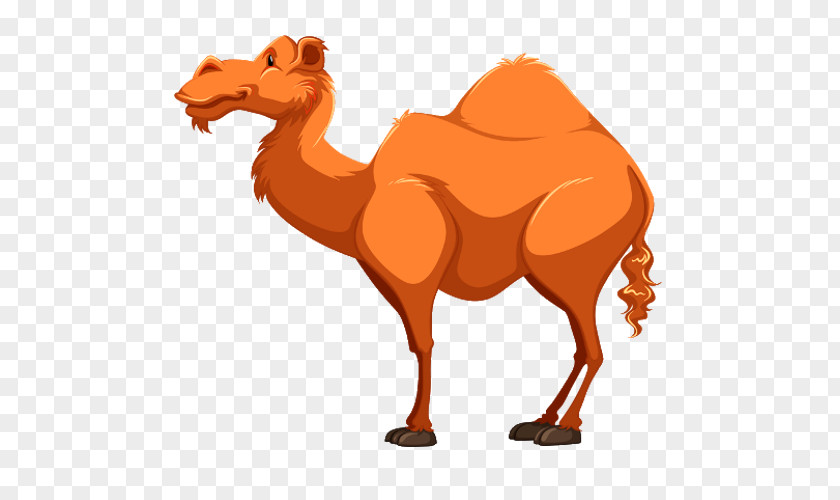 Cartoon Camel Royalty-free Clip Art PNG