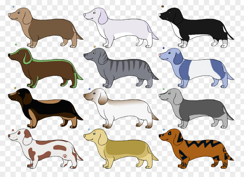Dog Breed Dachshund Line Art Drawing PNG