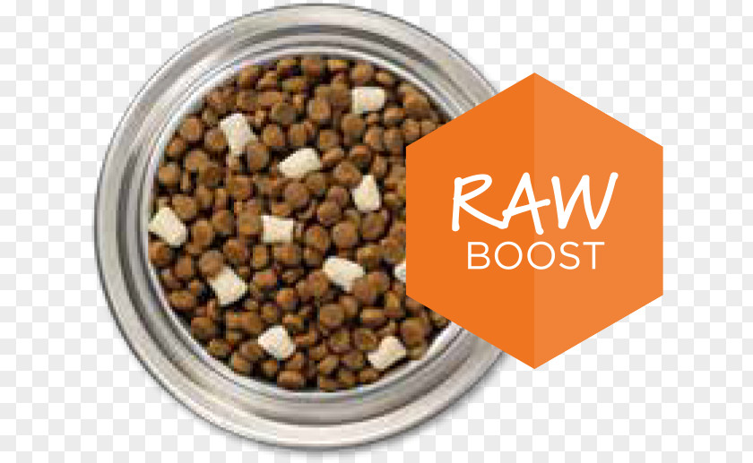 Dog Cat Food Raw Foodism Pet PNG