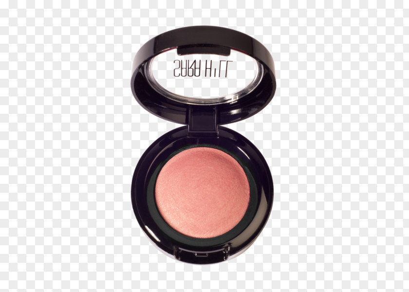 Face Powder Rouge Sara Hill Eye Shadow Cosmetics PNG