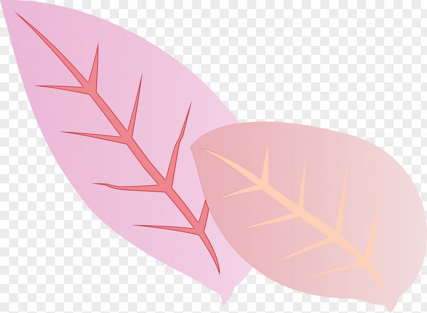 Leaf Pink M Font Meter Science PNG