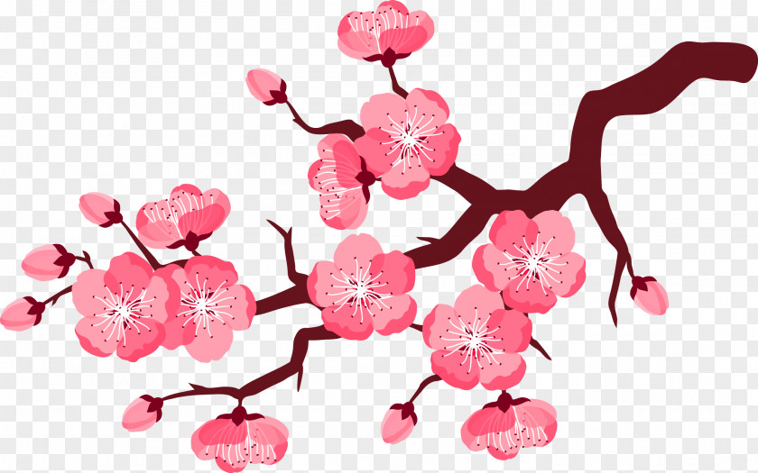 Pink Plum Blossom Cherry Flower Clip Art PNG