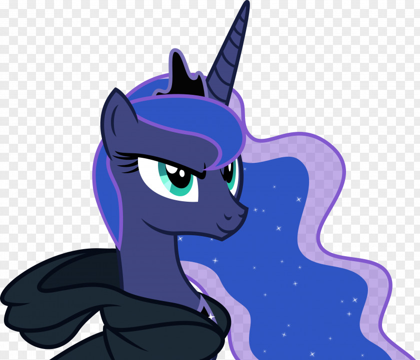 Princess Luna Twilight Sparkle Celestia Applejack Pony PNG