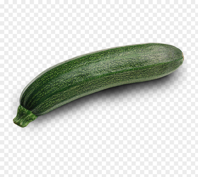 Vegetable Zucchini Wild Bean Eggplant Cucumber PNG