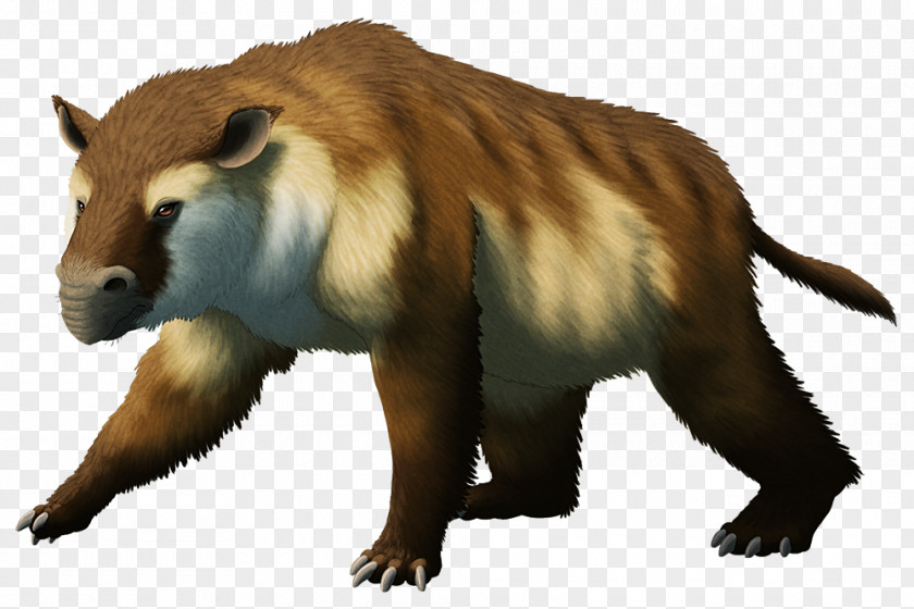 Bear Beaver Mammal Miocene Homalodotherium PNG