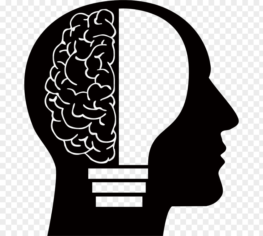 Brain Bulb Human Head Clip Art PNG