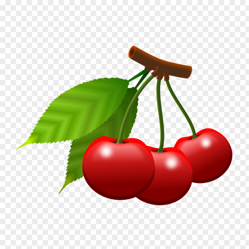 Cherry Fruit Berry PNG