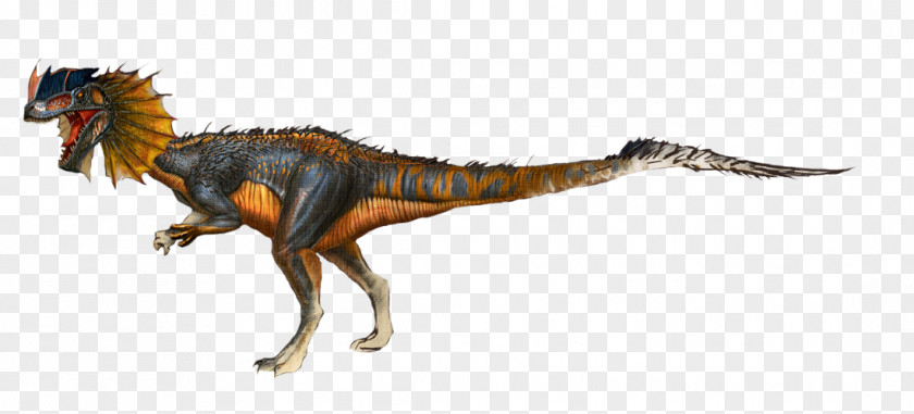 Dinosaur Dilophosaurus ARK: Survival Evolved Giganotosaurus Tyrannosaurus Anchisaurus PNG