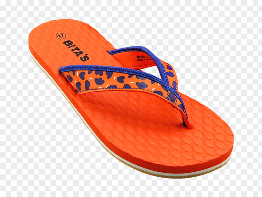 Họa Tiết Flip-flops Slipper PNG