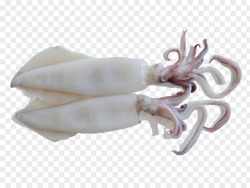 Meat Squid As Food Octopus Sweet And Sour PNG